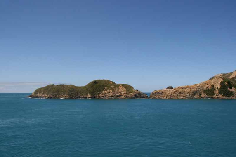 Nieuw-Zeeland 2011 - 0931